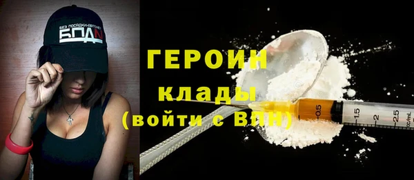 гидра Вязьма