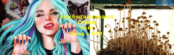 гидра Вязьма