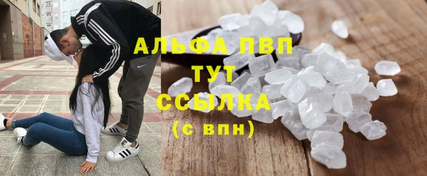 гидра Вязьма