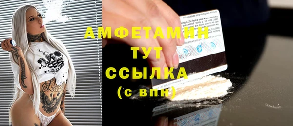 гидра Вязьма