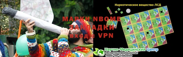 гидра Вязьма
