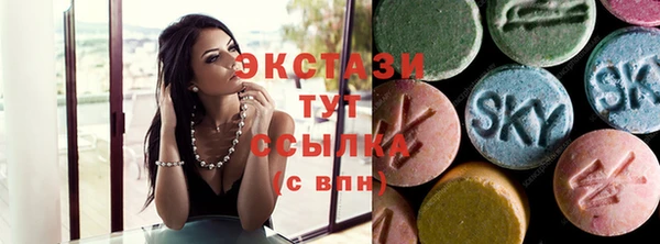 гидра Вязьма