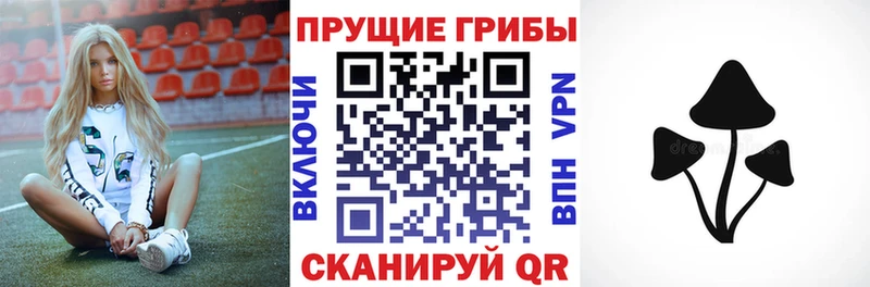 Псилоцибиновые грибы мицелий гидра маркетплейс Петропавловск-Камчатский